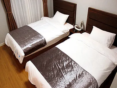 Jeju Airport Hotel 3*,  South Korea